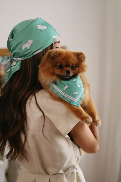 Бандана для песика "Pet Joy" 1053 фото