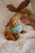 Бандана для песика "Pet Joy" 1053 фото 4
